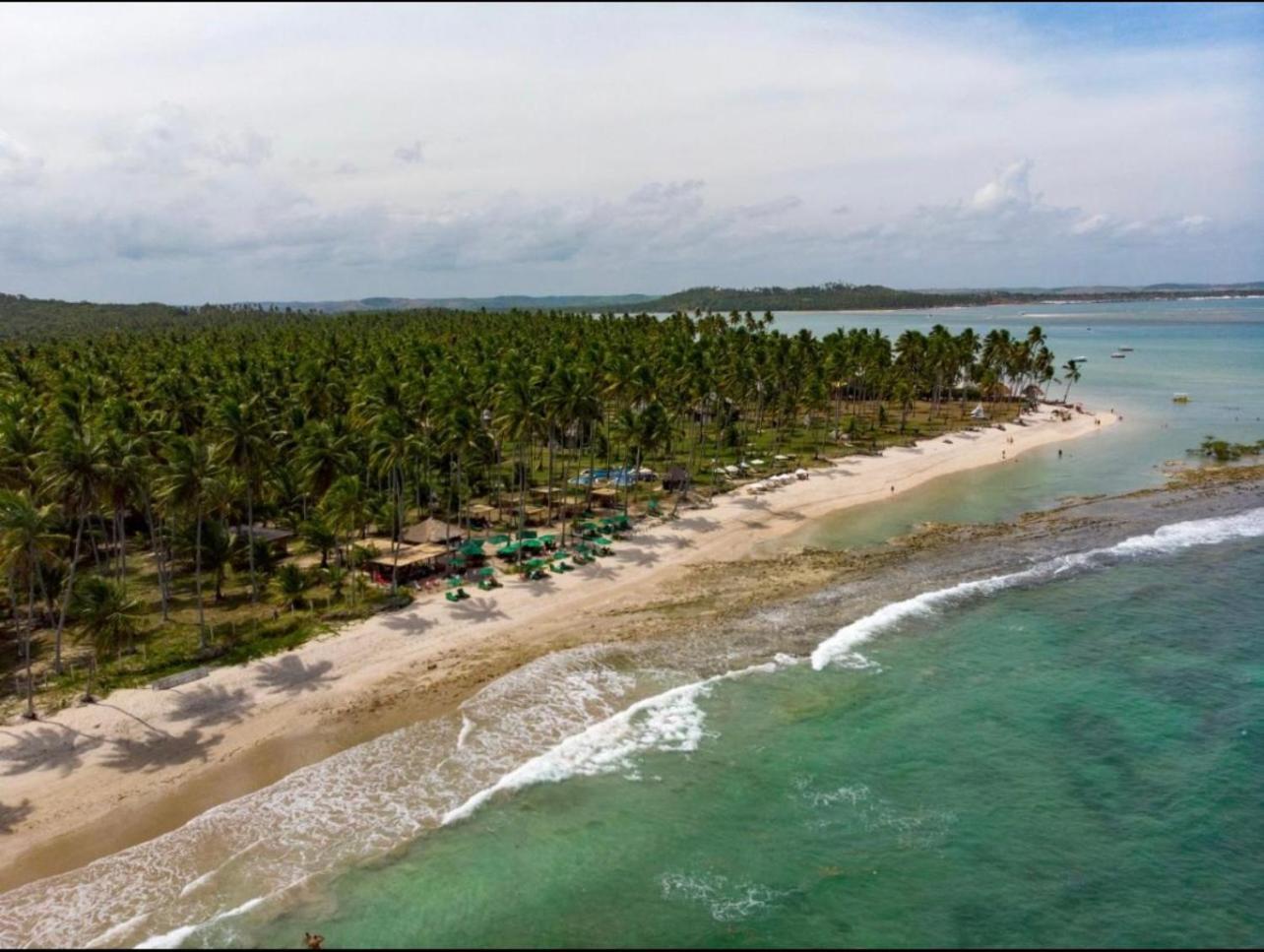 Flat Beira Mar - Carneiros Beach Resort Tamandaré Eksteriør billede